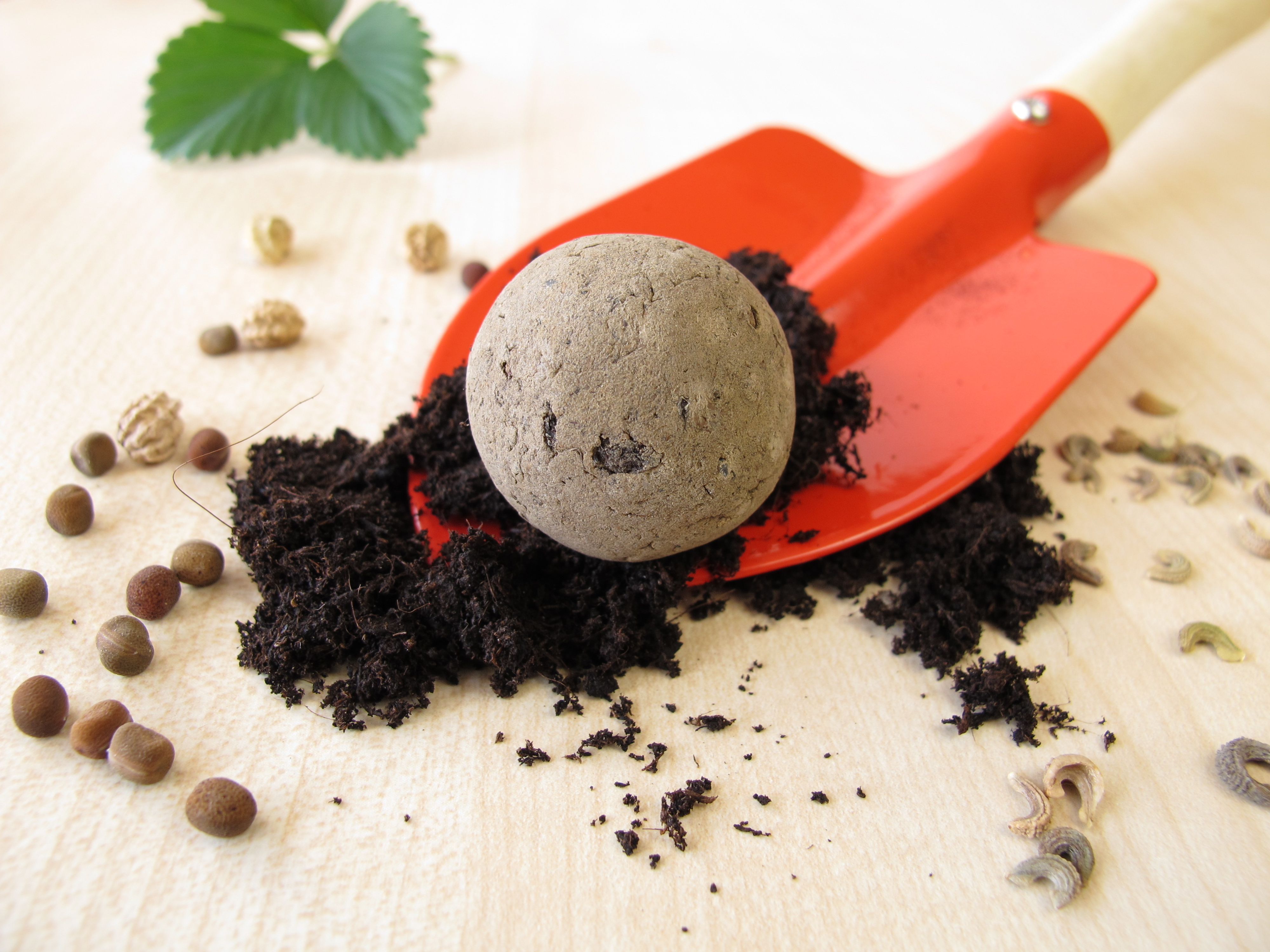 Make a Native Plant Seed Ball — City of Albuquerque